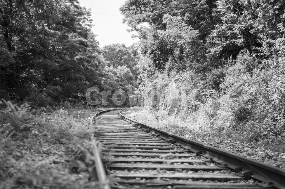 transportation,교통,rail,레일,traintrack,railway,철도,풍경,흑백,모노톤,monochrome,black and white