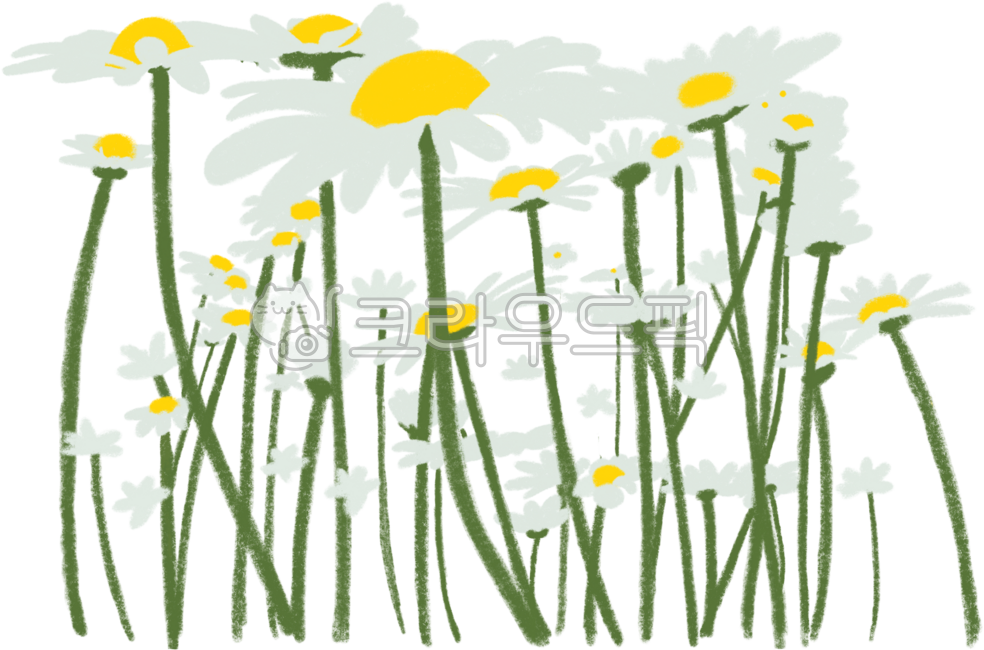 들국화,꽃,가을꽃,가을,데이지,들국화그림,들국화일러,들국화일러스트,들국화손그림,손그림일러스트,일러스트,가을배경,구절초