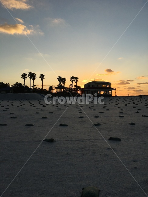 새벽,붉은하늘,sky,자연,일몰,sunset,황혼,redsky,outdoors