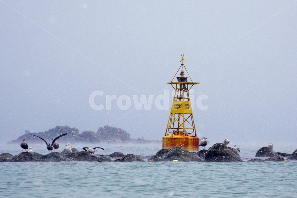 새,bird,부표,바다,갈매기,동물,animal,탑,tower,겨울바다,눈,노랑색