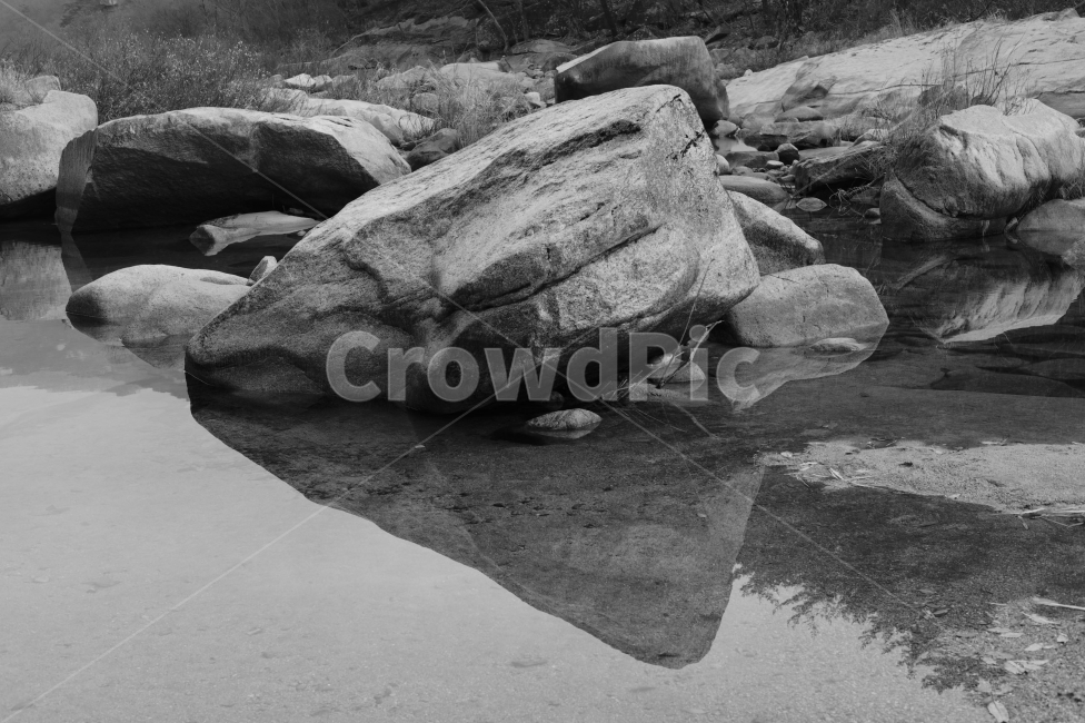 자연,풍경,흑백,괴산,화양구곡,자연,풍경,nature,landscape,흑백,모노톤,monochrome,black and white,rock,록,animal,동물,sea life,해양 생물,turtle,터틀