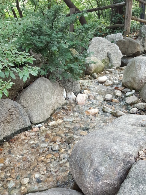 남산,시냇물,작은정원,쉼터,돌멩이,조약돌