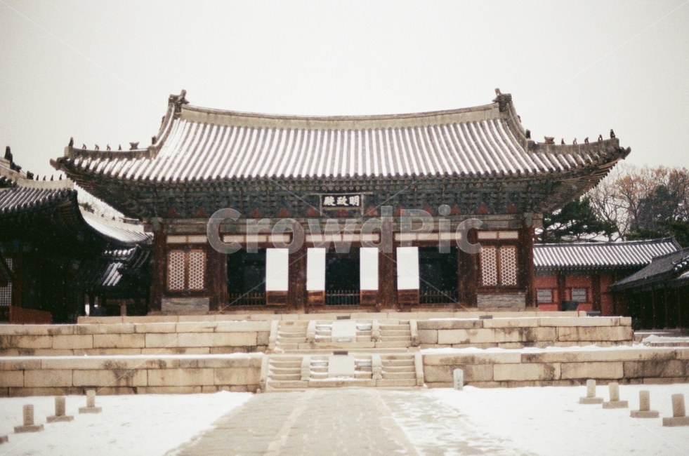 winter photography,cozy,winter,dreamy,scenery,film photography,emotional photography,Seoul,tradition,Republic of Korea,snowy,Changgyeonggung Palace,film,sensitive,seoul,warm,korea,snow particles,snow,serene,landscape