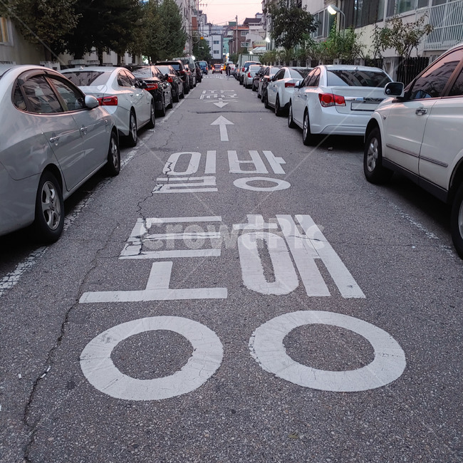 일방통행,도로,차,차량,자동차,car,vehicle,automobile,oneway,asphalt,아스팔트