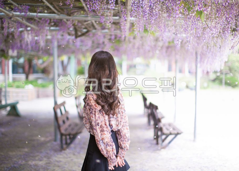 등나무,등나무꽃,보라색,보라색꽃,식물,자연,꽃,뒷모습,뒷태,여성,여자,인물사진,사람,인간,human,woman,female,lady,plant,purple,wisteria,식물,자연,plants,nature,꽃,flower,사람,인물,인간,human,person,여성,여자,woman,female,lady