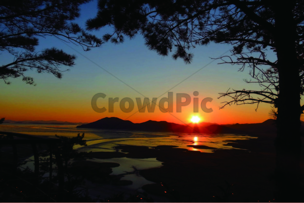 노을,sunset,자연,순천만,나무,자연,풍경,nature,landscape,outdoors,옥외,dusk,황혼,일몰,dawn,새벽,sky,하늘,red sky,붉은 하늘