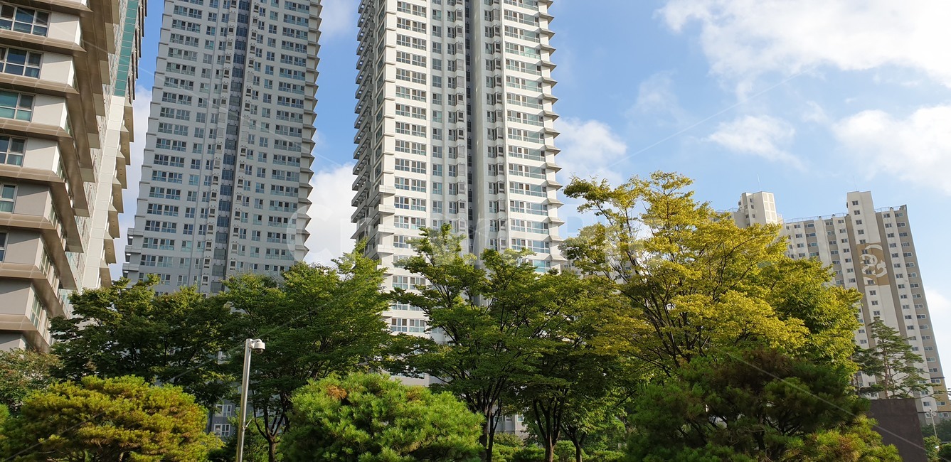 아파트조경,아파트단지,여름,여름조경,녹음,나무,도시,고층건물,하늘,구름,도시,풍경,city,landscape,한국도시풍경,한국도시경관,korea cityscape,건축물,건물외관,exterior,building,structure,architecture,construction