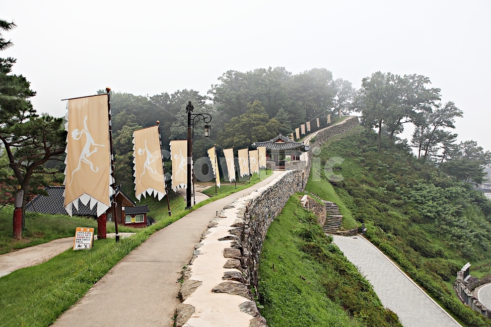 공주산성,성,성곽,길,둘레길,숲,숲길,안개,돌담,담,여름,자연,풍경,흙담,식물,유네스코등제