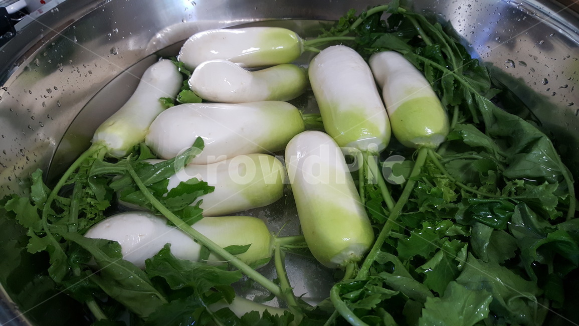 무우,김치,동치미,식재료,열무,알타리,plant,식물,food,음식,vegetable,야채,한국음식