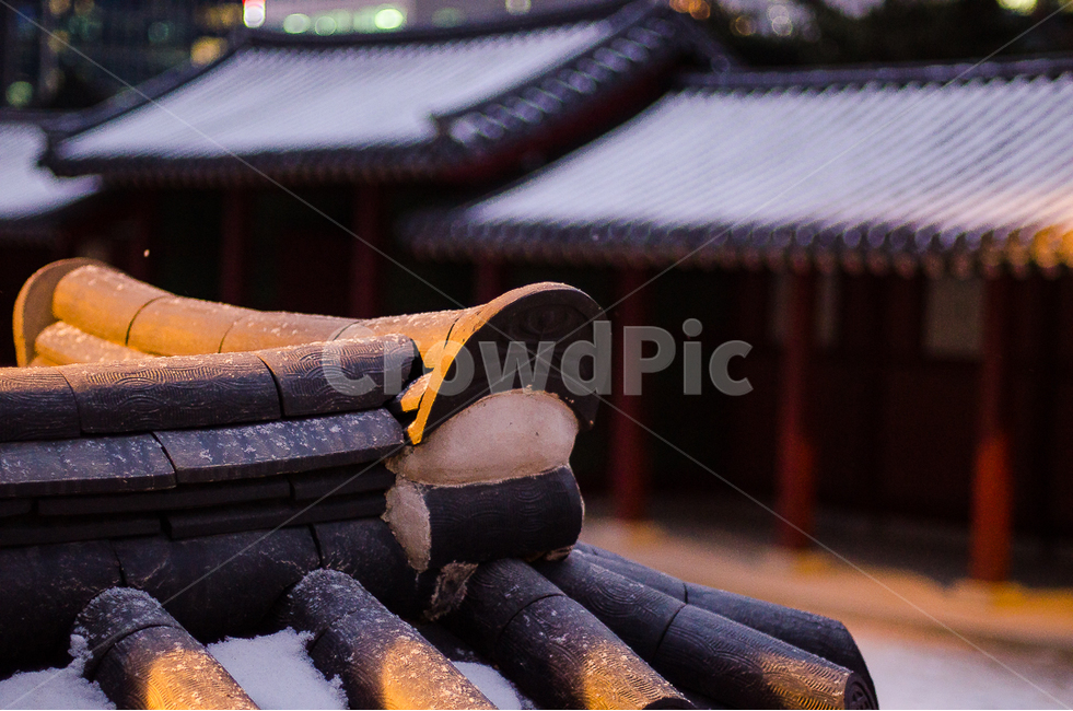 덕수궁,한국,전통,아웃포커싱,기와,겨울,계절,winter,season,한국전통,한국문화,korean traditional,korean culture,건축물,건물외관,exterior,building,structure,architecture,construction