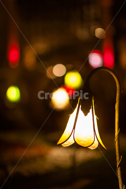 조명,램프,놀이동산,장식,빛,밤,야경,밤,풍경,nightscape,night,landscape
