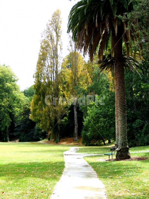 나무,공원,산책,벤치,의자,잔디,길,산책로,자연,푸른,터널,tree,trees,park,walk,grass,lawn,bench,chair,nature,natural,초록,green,sunny,맑은,날씨,weather,풍경,배경,배경사진,풍경사진,평화로운,분위기,차분한,차분함,평화로움,scene,atmosphere,calm,peaceful,tranquil,still,background,감성사진,ambience,자연,풍경,nature,landscape,해외,외국,세계,foreign,oversea,world,세계자연풍경,해외자연풍경,외국자연풍경,world nature landscape,식물,plants,나무,trees,wood,outdoors,옥외,path,통로