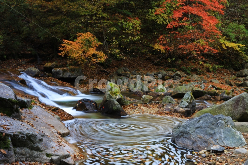 water,물,nature,outdoors,옥외,waterfall,폭포,tree,나무,plant,식물,leaf,잎,stream,흐름,물흐름,강원도,인제,방태산,방태산폭포,방태산가을,단풍,단풍잎,가을,추색,만추,낙엽,계곡,경치,경관,풍경,인제가을