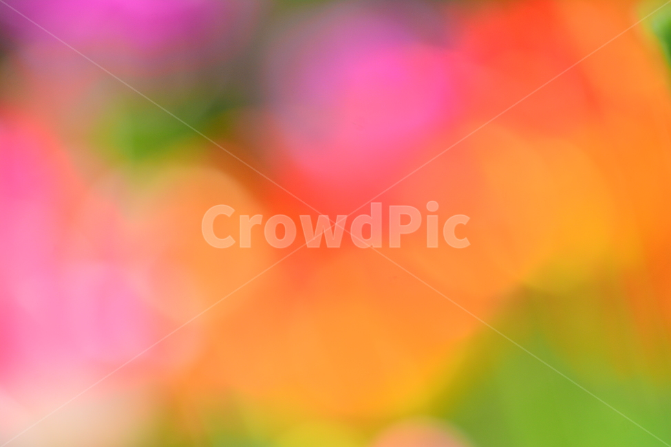 pink,color,catalog,yellow,dreamy,out of focus,spring,spring flowers,saturation,red,beautiful,spring image,sensibility,graphic source,advertisement,beautifulcolor,Emotion,Phil,flowers,green,violet,feeling,flower,Red,emotion,dream,background,purple,pastel t