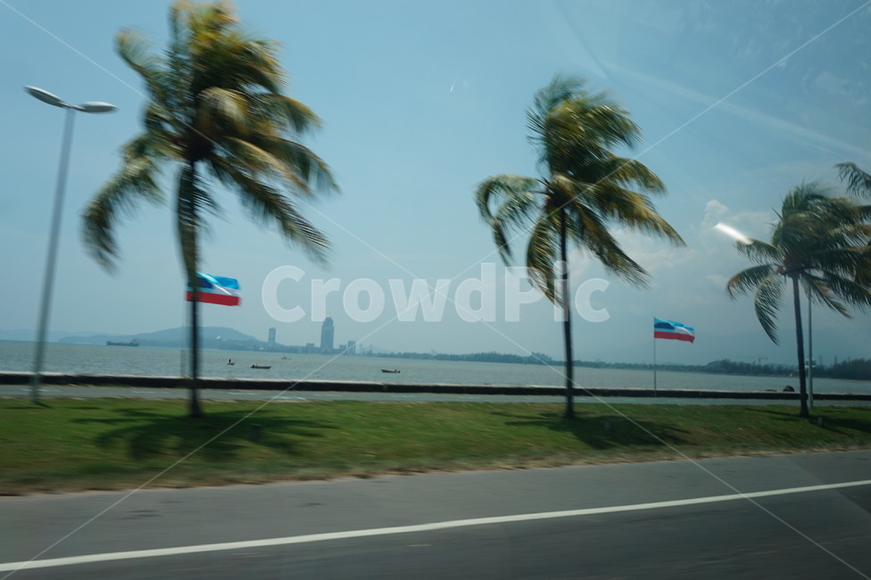 드라이브,driver,blue,색감,drive,도로,길,road,tree,나무,바다,하늘,sky,sea,해안도로