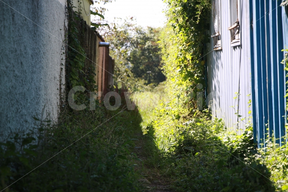 풍경,골목,클래식,자연,시골,시간,세월,골목길,alley,감성,sensible,feeling,outdoors,옥외