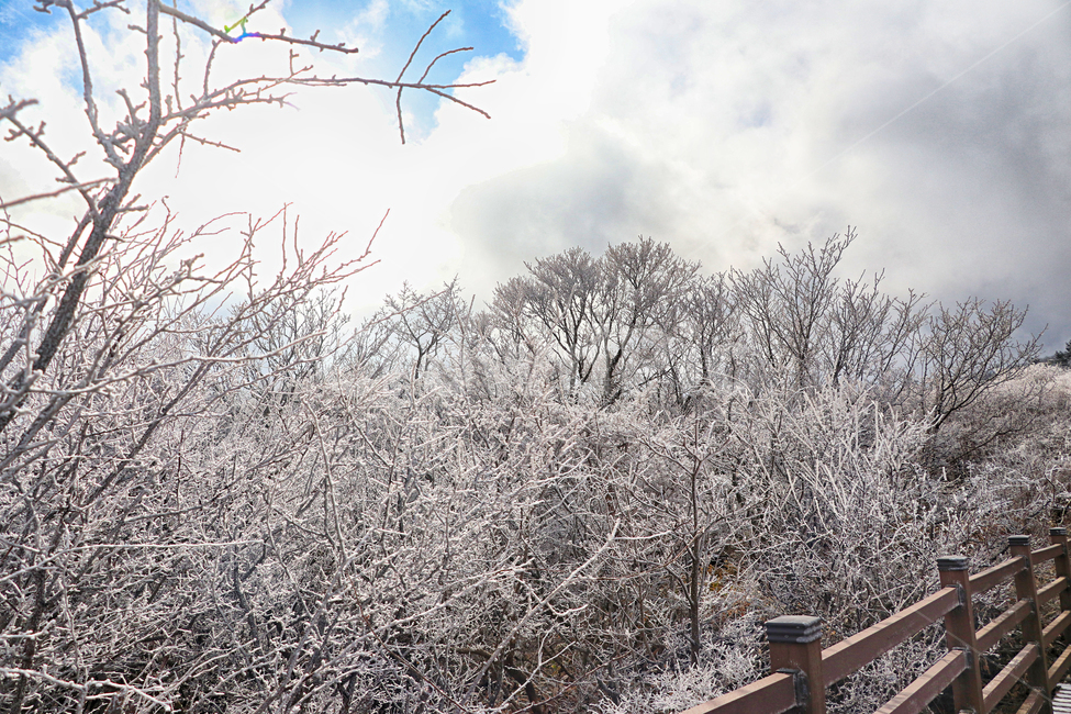 제주도,한라산,1100고지,한라산1100고지,설경,눈꽃,눈,겨울,snow,옥외,자연,다리,bridge,산책로,boardwalk