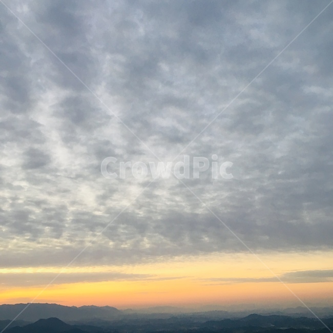 일출,해돋이,1월1일,새해,sunrise,beforesunrise
