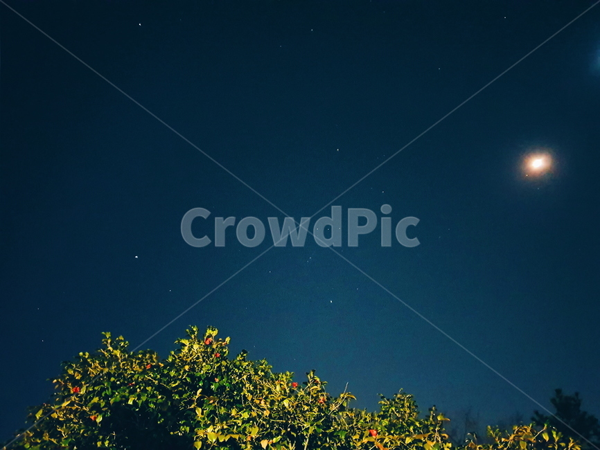 하늘,밤,night,nightsky,밤하늘,야경,밤,풍경,nightscape,night,landscape,nature,자연,outdoors,옥외