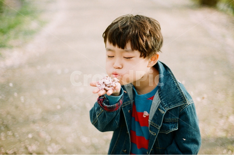 벚꽃,아이,인물사진,봄,감성사진,필름사진,따뜻한,따스한,친구,가족,귀여운,사랑스러운,행복한,행복,길,거리,공원,아늑한,personal,cute,family,spring,cherryblossoms,happy,sensitive,cozy,child,봄,계절,spring,season,사람,인물,인간,human,person,얼굴표정,facial expression,face,어린이,어린아이,child,children,kid,감성,sensible,feeling