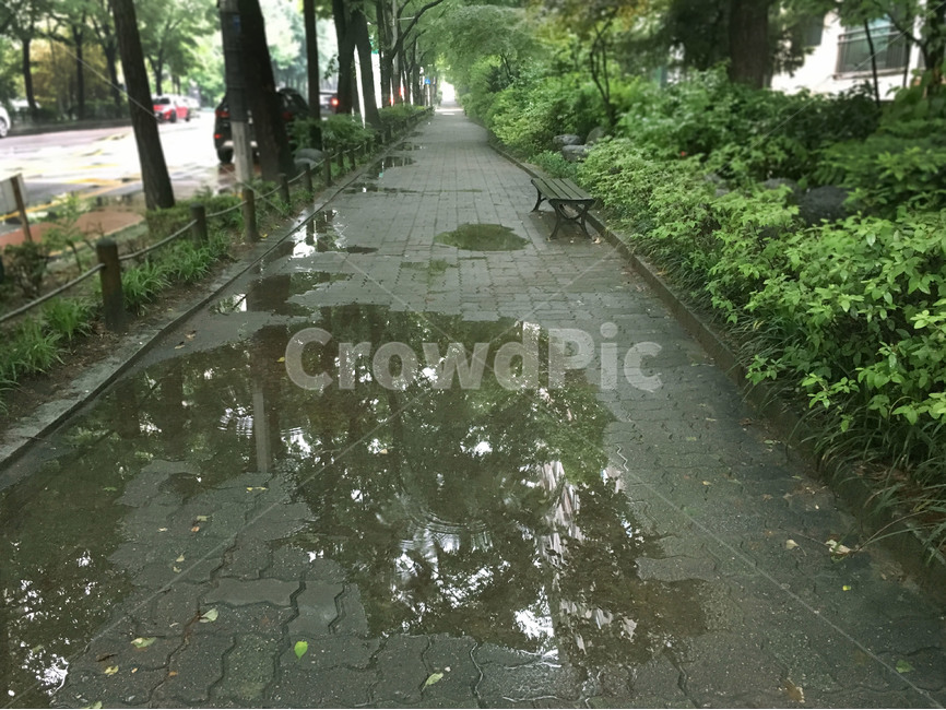 물웅덩이,비오는날,비,길,웅덩이,물,여름,장마,날씨,계절,거리,비,비오는날,rain,rainy