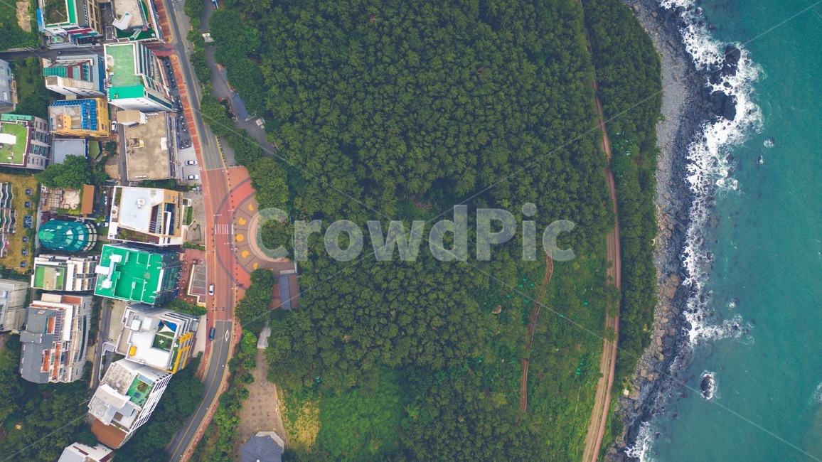 파도,바다,드론,숲,자연,경치,옥외,풍경,landscape,outdoors,scenery,nature,aerialview,자연,풍경,nature,landscape
