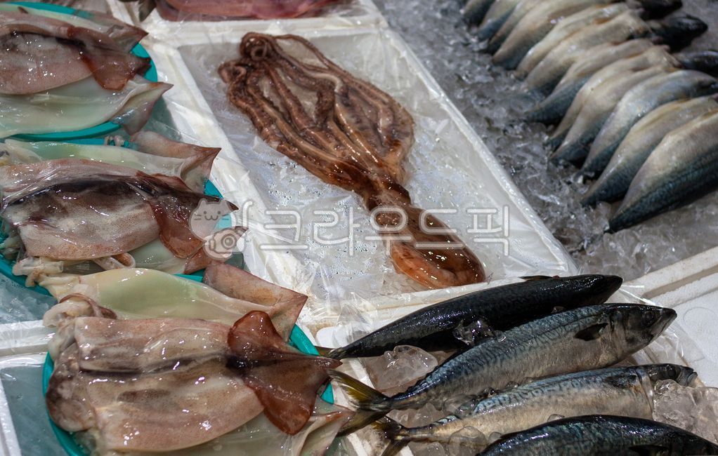 fish,물고기,해양생물,고등어,시장,전통시장,수산물