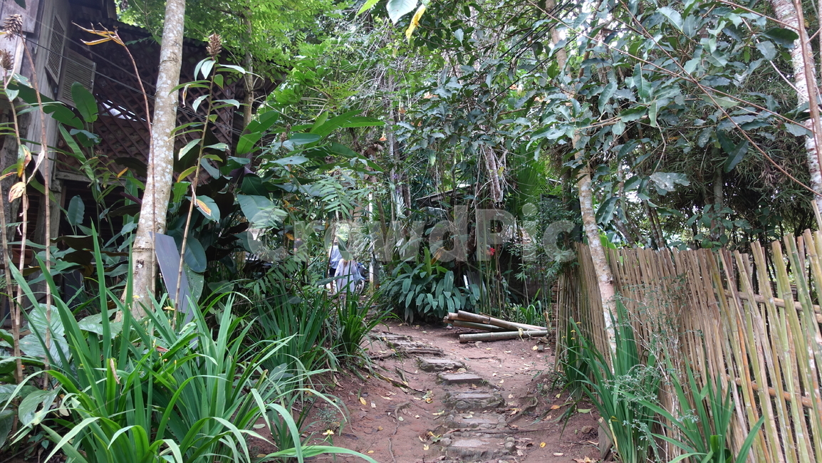 산책로,통로,나무,초록,풀,green,grass