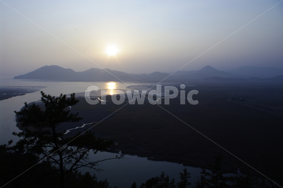 순천만,일몰,석양,노을,풍경,갈대밭,자연,풍경,nature,landscape,한국자연풍경,한국자연경관,korea nature landscape,flare,플레어,light,빛,outdoors,옥외,sunlight,햇빛