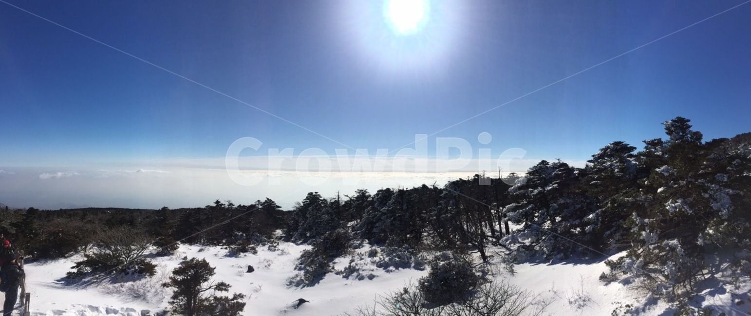 한라산,태양,햇빛,하늘,구름,sky,nature,outdoors,자연,옥외,tree,나무,plant,식물,겨울,계절,winter,season,자연,풍경,nature,landscape