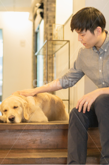 골든리트리버,반려견,동물,애완동물,리트리버,동물,animal,포유류,mammal,개,강아지,dog,doggy,사람,인물,인간,human,person,남성,남자,man,male