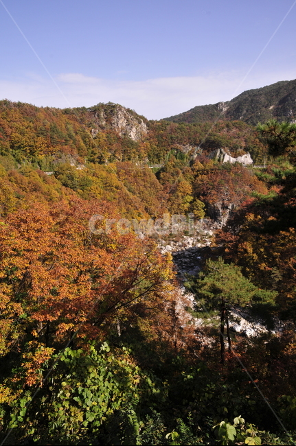 불영사,불영사계곡,가을,단풍,자연,nature,mountain,산,가을불영사,가을불영사계곡