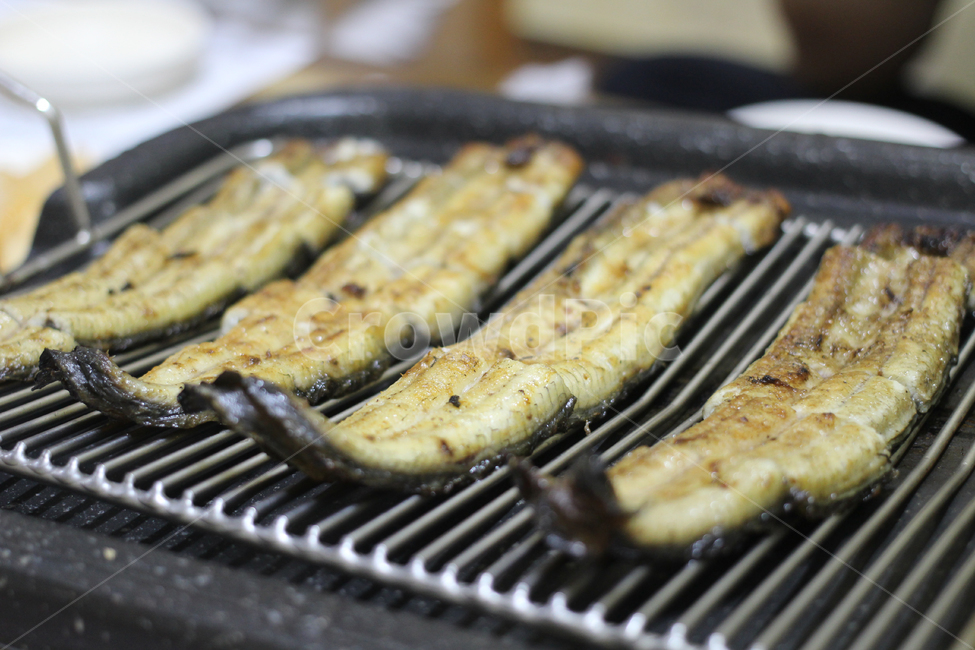 장어,장어요리,소금구이장어,몸보신,장어구이,음식,식재료,요리,food,cook,meal,dishes,food reserves