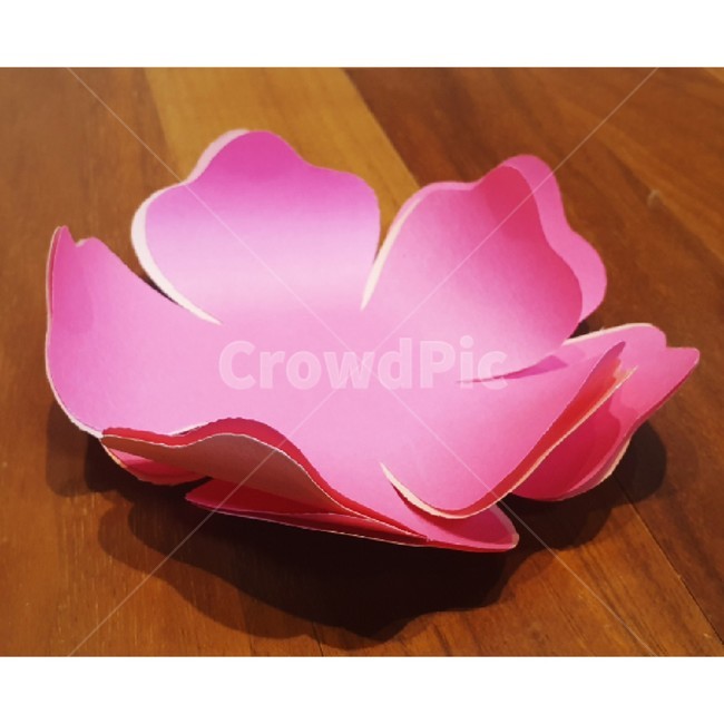 꽃잎,blossom,flower,꽃,plant,식물,종이꽃,만들기,페이퍼플라워,페이퍼플라워만들기,페이퍼아트,핸드메이드,art