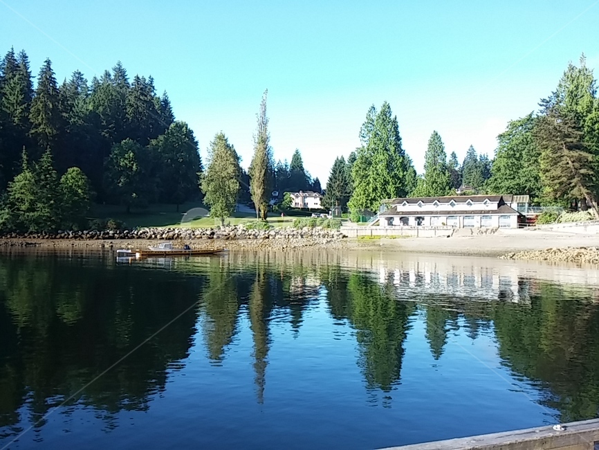 물,워터프론트,나무,water,waterfront,배,선박,풍경,해,빛,자연,nature
