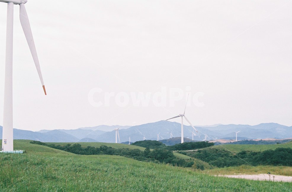 대관령,양떼목장,풍차,바람개비,바람,자연,푸르른,풀,초록,green,산,동산,필름카메라,필카,자연,풍경,nature,landscape,한국자연풍경,한국자연경관,korea nature landscape,산업,industry,industrial,에너지산업,energy industry,engine,엔진,motor,모터,machine,기계