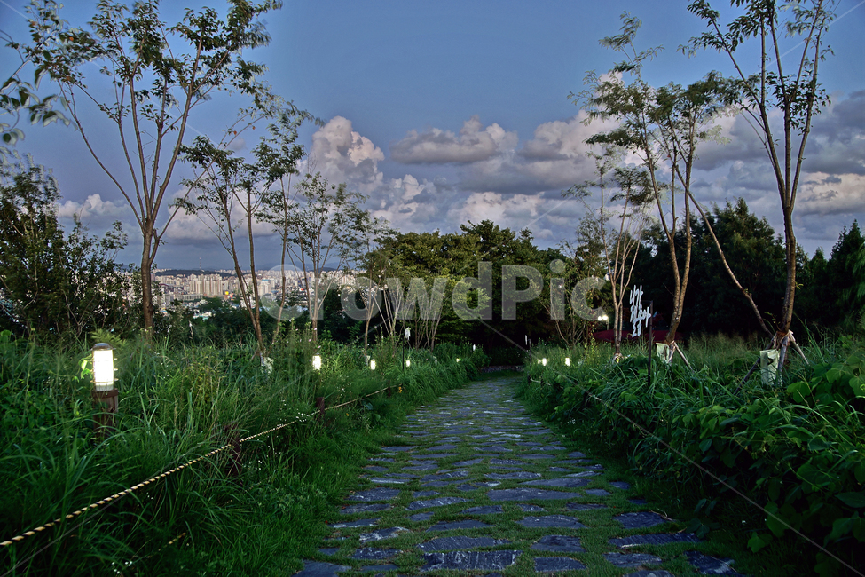 탐방로,도로,월미공원,전망대,인천,야경,조명,자연,풍경,nature,landscape,outdoors,옥외