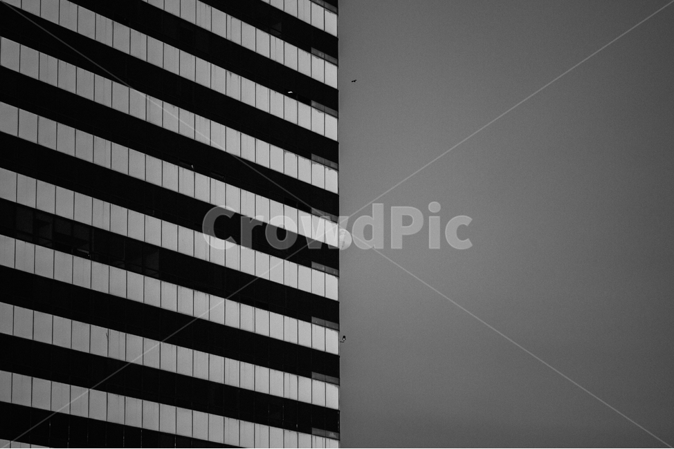 달,반달,보름달,빌딩,달님,moon,흑백,모노톤,monochrome,black and white