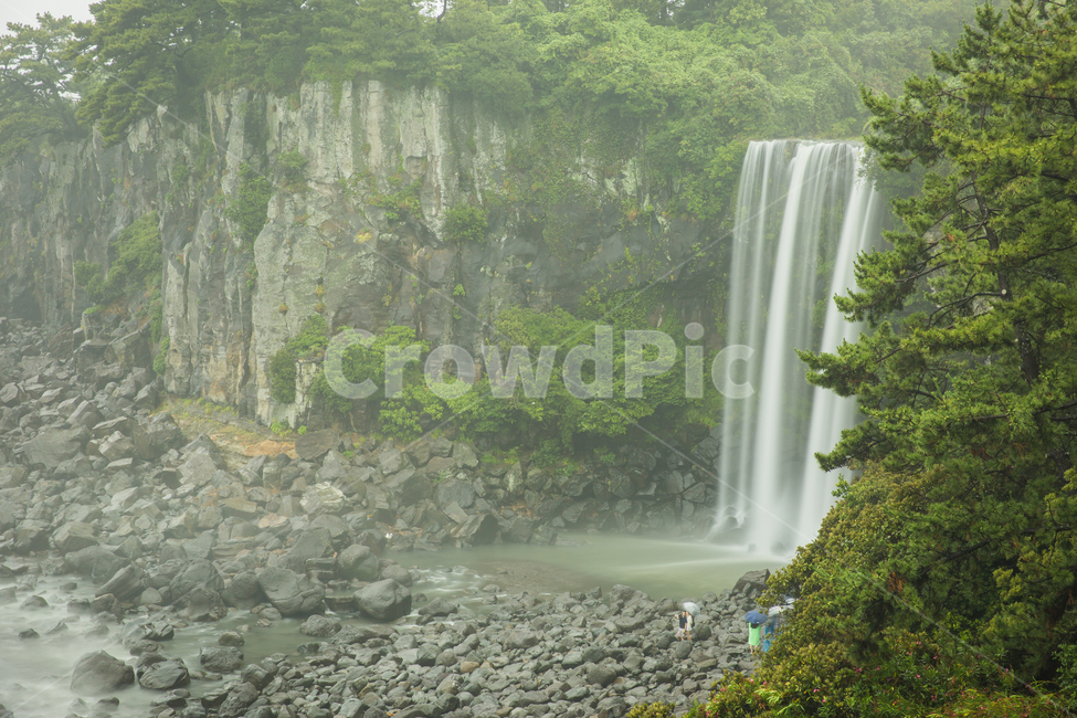 폭포,제주도,비,흐림,정방폭포,자연,풍경,nature,landscape,river,강,water,물,outdoors,옥외,waterfall