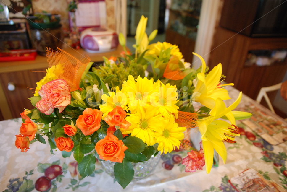 꽃,집,식물,flower,꽃꽂이,식물,자연,plants,nature,꽃,flower