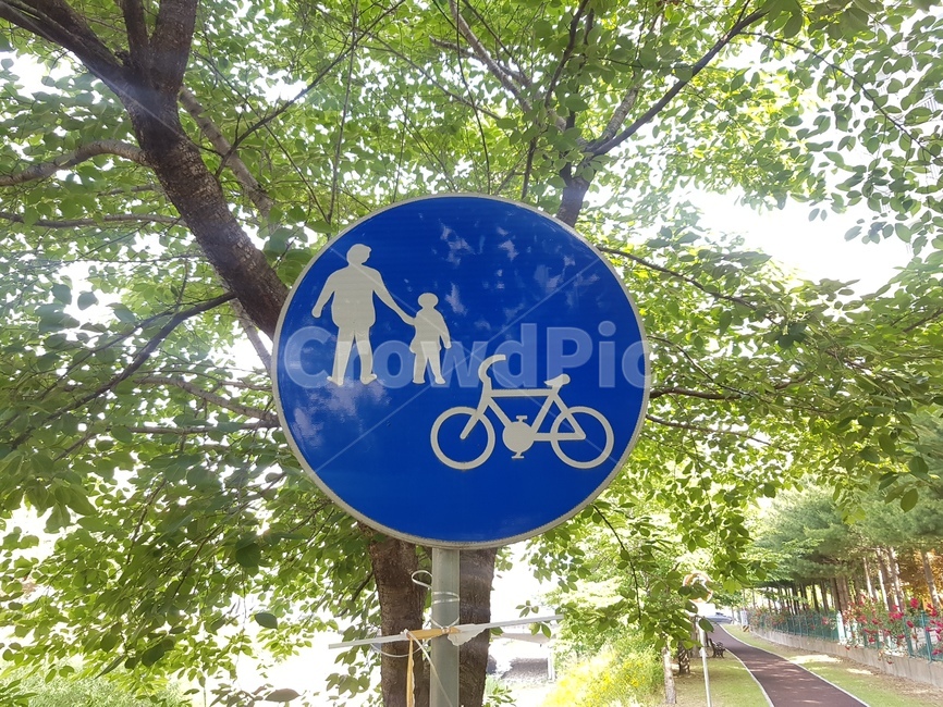 안내판,자전거도로,안내,도로표지판,교통안전,자전거표시