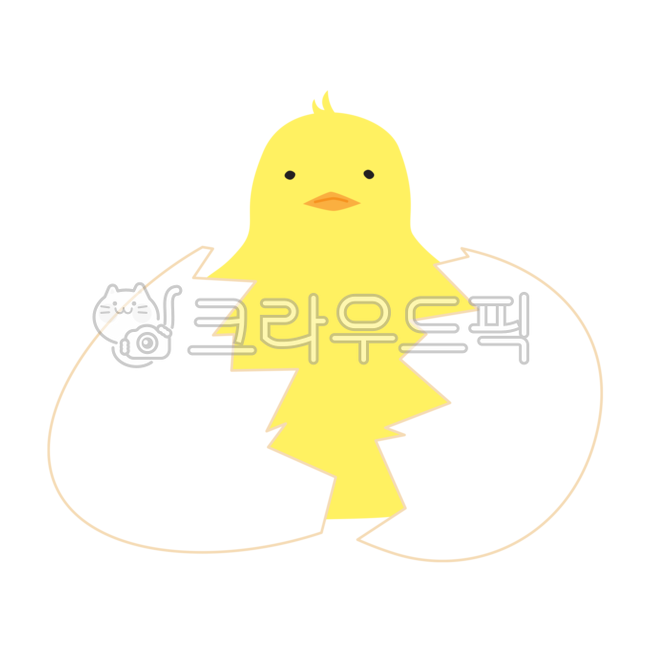 beep,Bleak,egg,yellow,hatching,chick