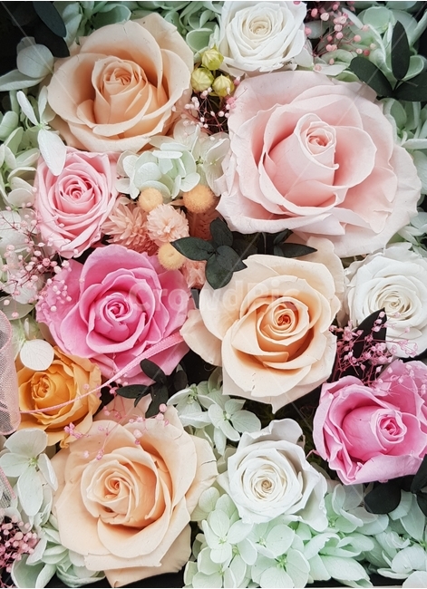 장미,꽃,화사한,아름다운장미,꽃다발,꽃,flower