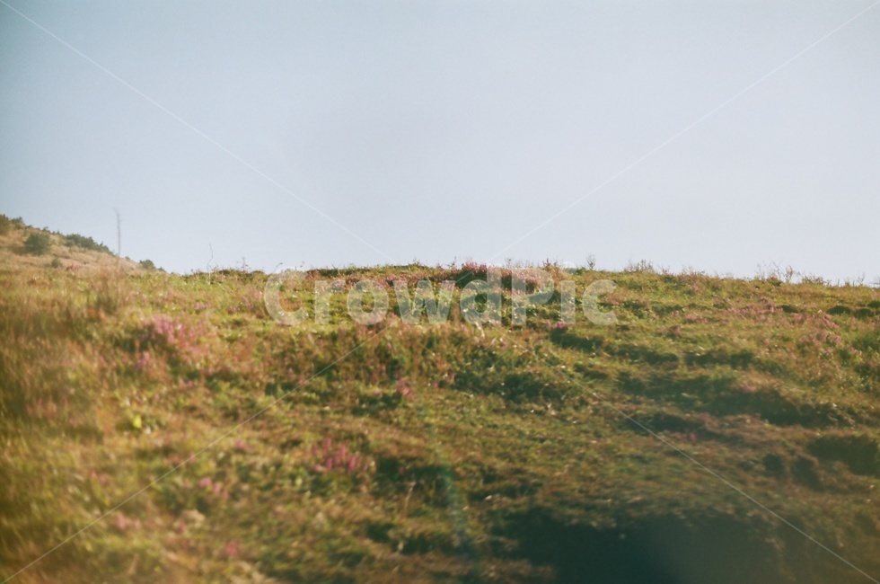 언덕,휴식,봄,감성,힐링,오름,필름,자연,풍경,nature,landscape,slope,경사,outdoors,옥외