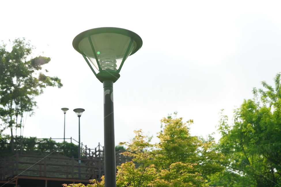 가로등,풍경,조명,나무,계절,하늘,자연,풍경,nature,landscape,lamp,램프,lamp post,램프 포스트