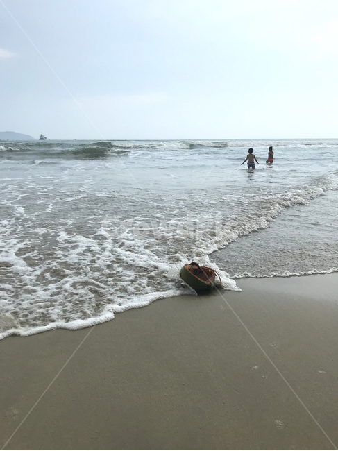 해안,해변,모래,파도,백사장,코코넛,sand,ocean,대양,sea,바다,outdoors,옥외,nature,자연,water,물,shoreline,해안선,coast,beach,바닷가,연안,해변,바다,beach,sea