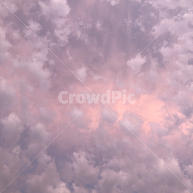 분홍,핑크,몽환,구름,하늘,자연,풍경,nature,landscape,weather,날씨,outdoors,옥외,cloud,sky,cumulus,적운