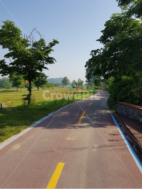 road,도로,자전거도로,산책길,남한강변,나무