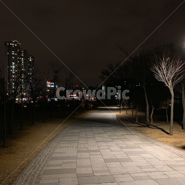 산책,밤,밤길,어둠,공원,야경,밤,풍경,nightscape,night,landscape,도시,city,path,통로,walkway,보도,sidewalk,pavement,포장,flagstone,판석