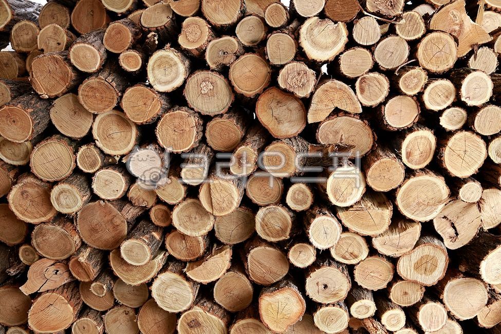 winter heating,lumber,annual zone,countryside,tree,winter,firewood pile,poultice,firewood boiler,Preparing for winter,warm,firewood,wood,timber,heating,wood firewood